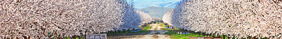 contact header